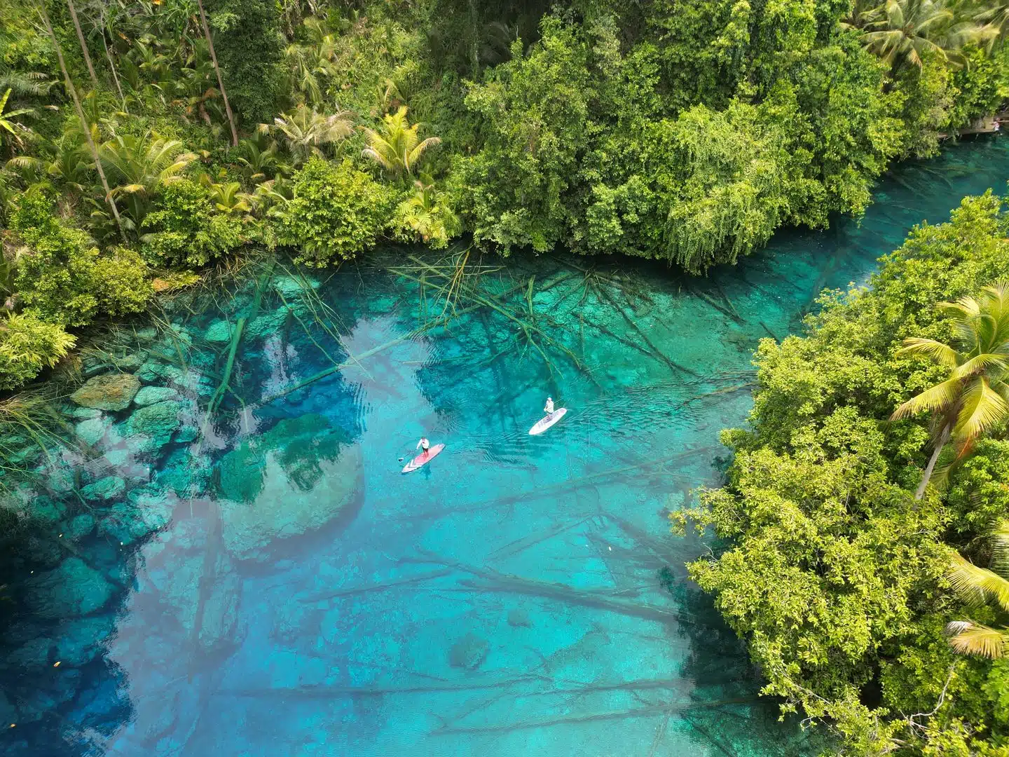 Traditional,House,Of,Tana,Toraja,Indonesia